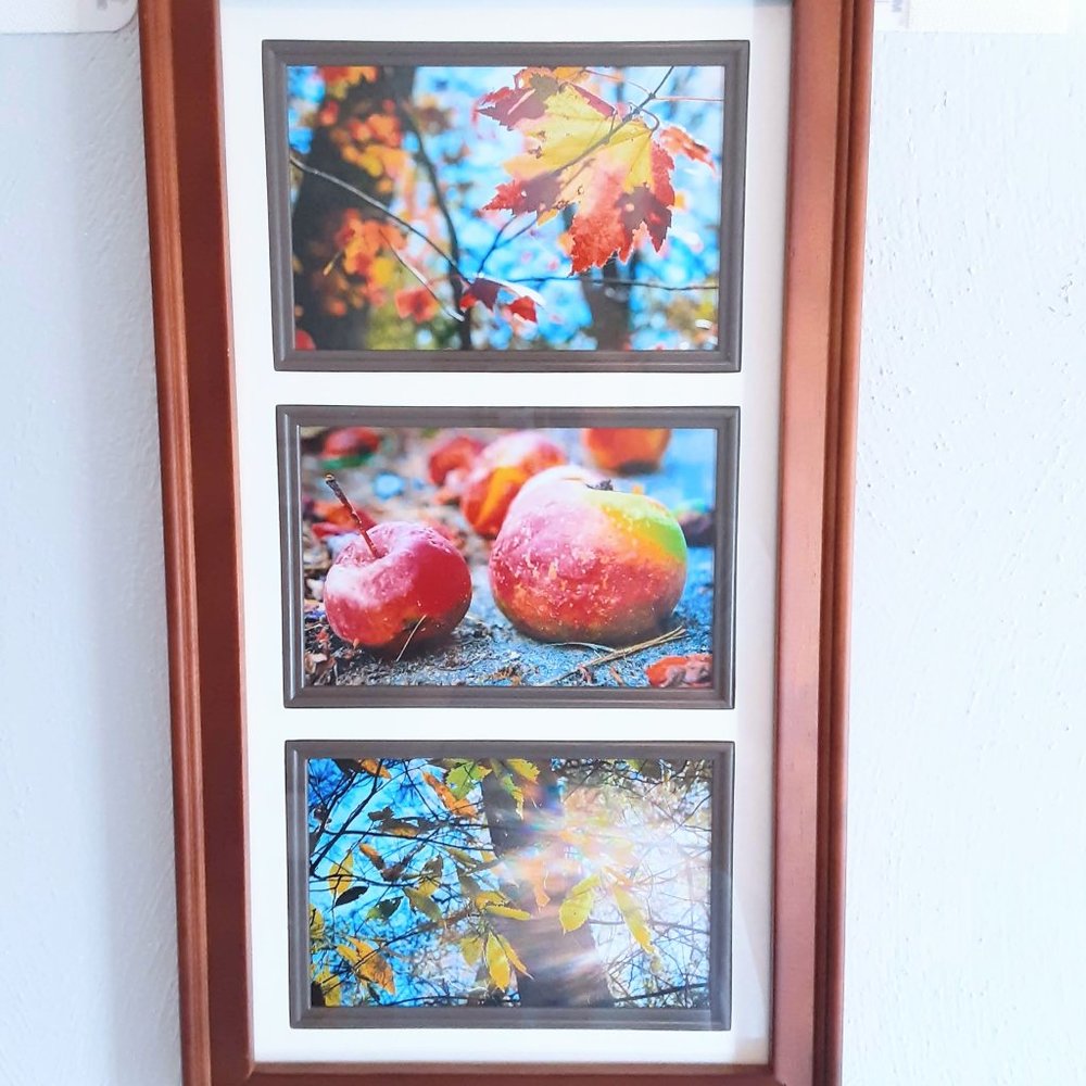 Fall Wall Art Frame Decor